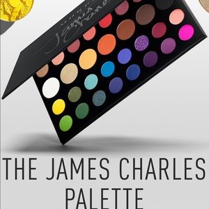 Morphe James Charles palate